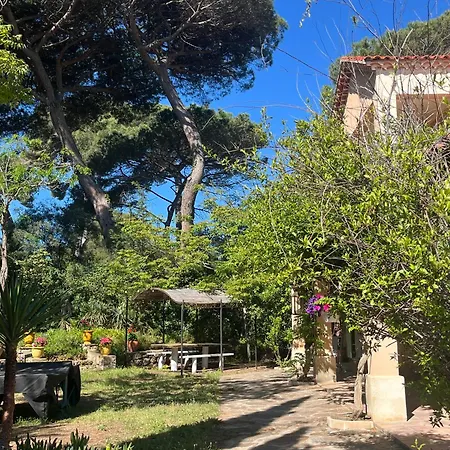 Presqu Ile De Giens T4 Proche Plages Apartman